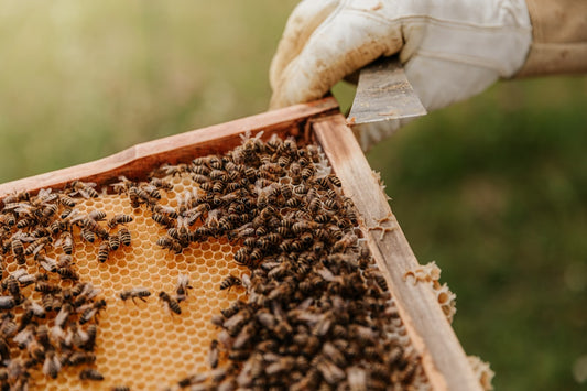 The Threat of Neonicotinoids.