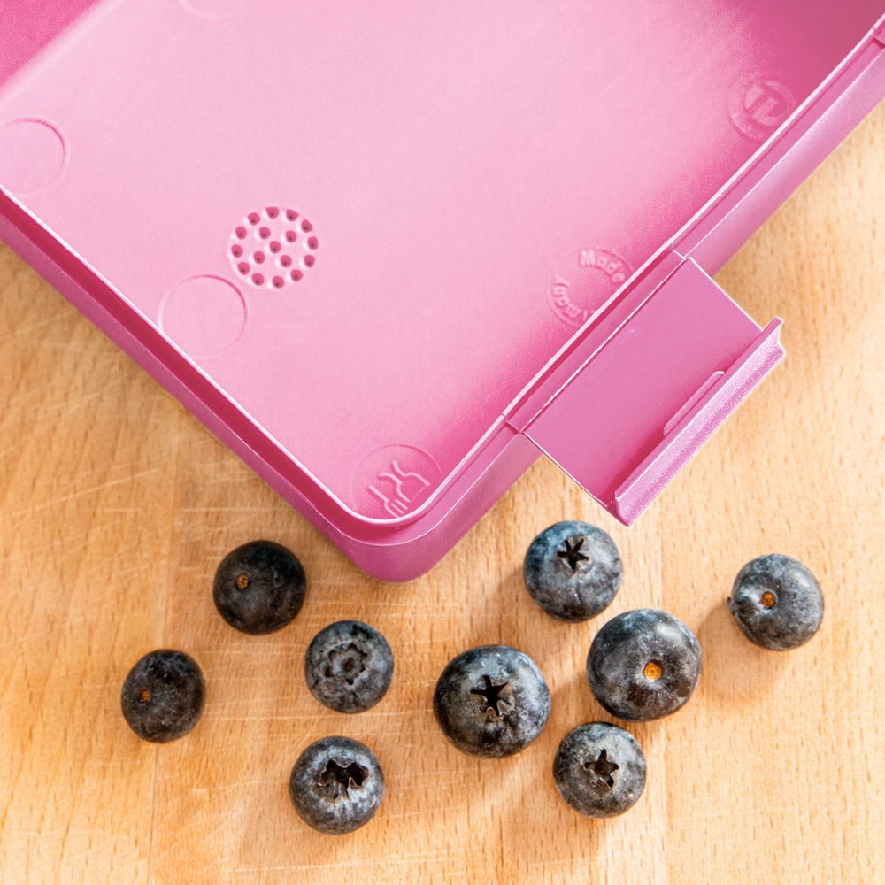 Kaida Brightscale (D1) Lunchbox - pink