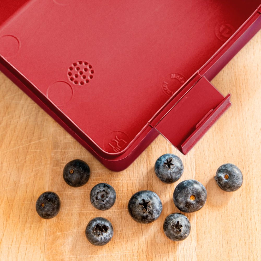 Kaida Brightscale (D2) Lunchbox - red