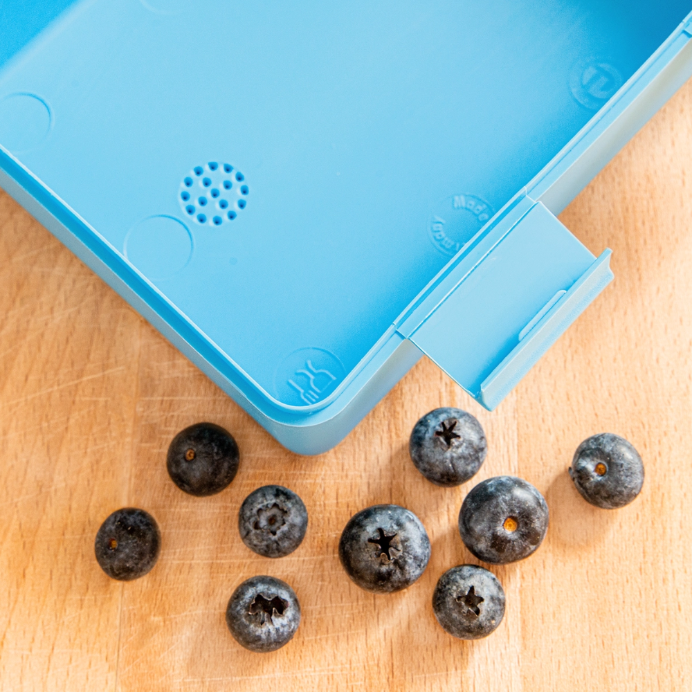 Kaida Brightscale (D2) Lunchbox - sapphire blue