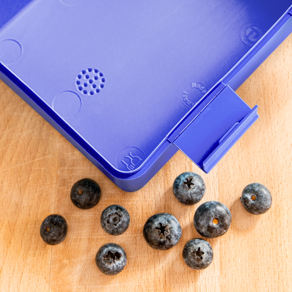 Kaida Brightscale (D1) Lunchbox - royal blue